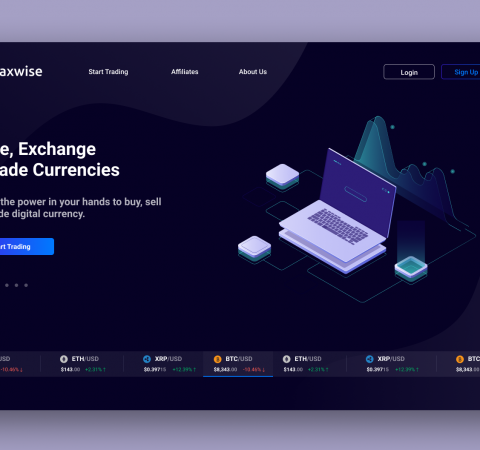 Daxwise Landing Page