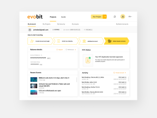 Account Overview Design for a Token Launchpad Platform