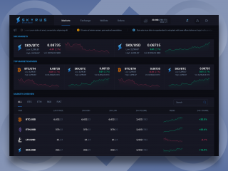 Markets Overview for Skyrus Exchange