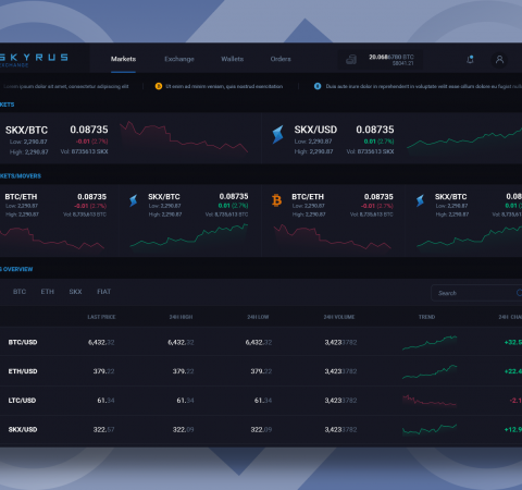 Skyrus Markets Overview