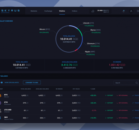 Wallet Overview for Skyrus Exchange