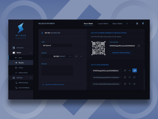 Receive Funds Screen for Skyrus Core Wallet App