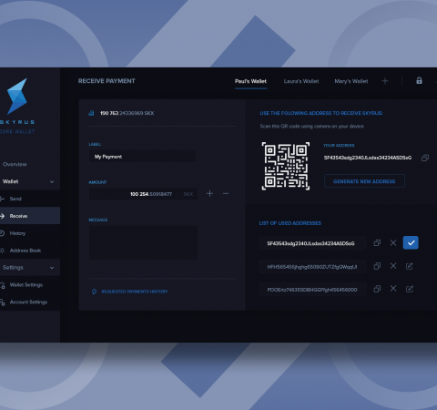 Skyrus Wallet Receive Funds